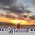 Laura Gaugh's profile image
