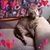 Debbie Hynes's profile image