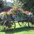 Karen Reynolds Willis's profile image