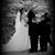 Mercede Salensky's profile image