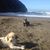 Erin Carver Tripp's profile image