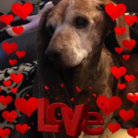 Kevin Beckstrom's profile image