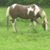 Karen D White's profile image