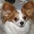 Janet Farmer's profile image