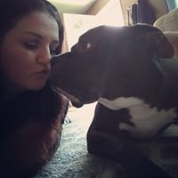 Sarah Bohmer's profile image