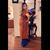 Dulce Ortiz's profile image