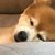 Jackie Baaden Friddell's profile image