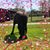 Samantha Nicole Marcovitch's profile image