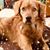 Cyndi Crawford's profile image