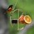 Steven McVey's profile image
