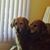 Jane Ruppen's profile image
