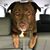 Mindy Berman's profile image