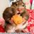 Janice Stephenson's profile image
