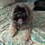Gina Nunez's profile image
