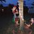 Diana Pham's profile image