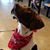 Jackie Shober Semrad's profile image