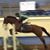 Wendy Stover's profile image