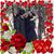Rosie N Richard's profile image