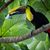 Bo Gover's profile image