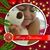 Darling Lupita Garcia's profile image