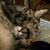 Jerome Chagnon's profile image