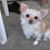 Lee Ann Roberts's profile image