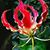 Randeep Kang's profile image