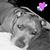 Elaine AScesney's profile image