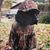 Dan Klimiuk's profile image