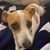 Rachel Wilkinson's profile image
