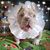 Latasha Lorena's profile image