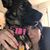 Sandra Martin Enriquez's profile image