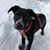 Jennifer Lorenz Mewes's profile image