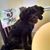Dianne Willcox Bulluck's profile image