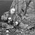 Preppers Steve's profile image
