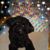 Joy Elfman's profile image