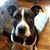 Kelly Boser's profile image