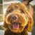Jason Amber Dray's profile image