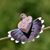 Kathy Lowder's profile image