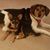 Pam Eason's profile image