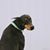 Janet Dusek's profile image