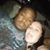 Camron Morgan's profile image