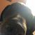 Jennifer M. Hodder's profile image