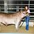 Wendy Lambright's profile image