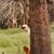 Ted Beckstead's profile image