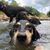 Michelle Lemoine Miles's profile image