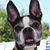 Michelle Bradford's profile image