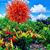 Linda Bargainnier McLendon's profile image