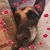 Lynette Campbell-Carroll's profile image
