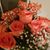 Demetria Archuleta's profile image